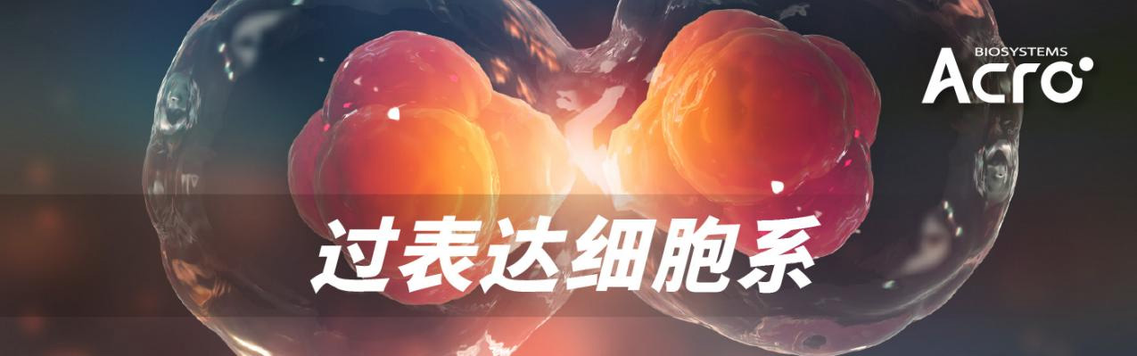 基于Mendelian随机化研究探索热门降糖减重分子在癌症中的潜在作用