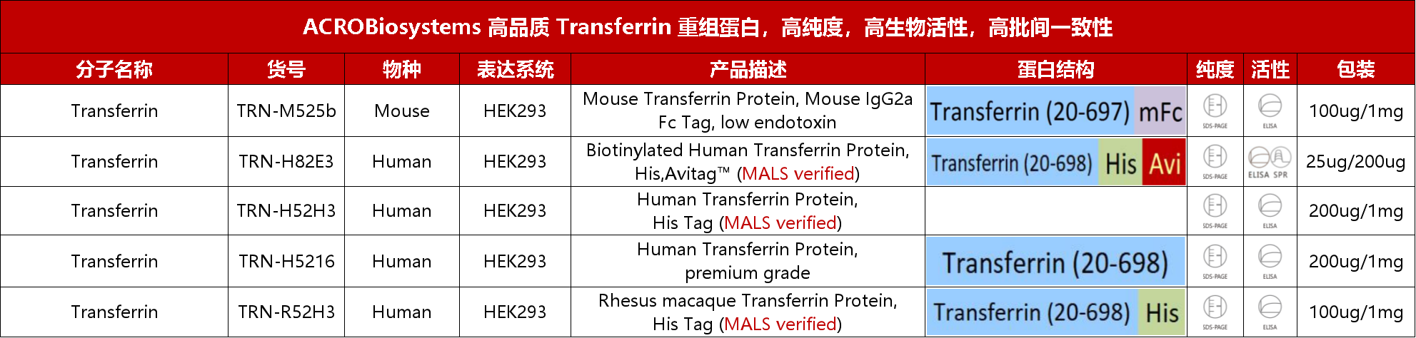 TransTACs可驱动多种膜蛋白降解显著提高POI内化效率