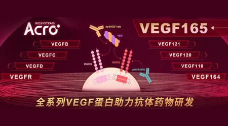 【双抗大有可为】PD-（L）1×VEGF组合领航时