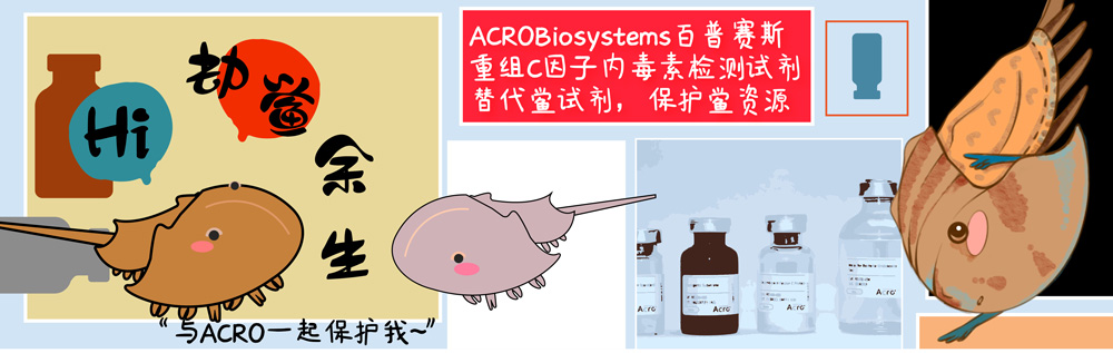 β-葡聚糖偶联抗体药与重组C因子内毒素检测的重要性