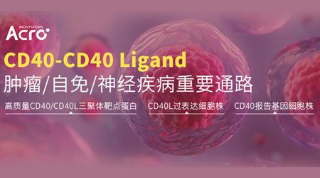 新形式新领域，CD40-CD40L不断扩宽边界