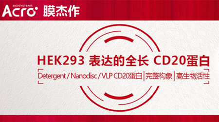 【CD20走花路】肿瘤与自免领域的治疗进展综合篇