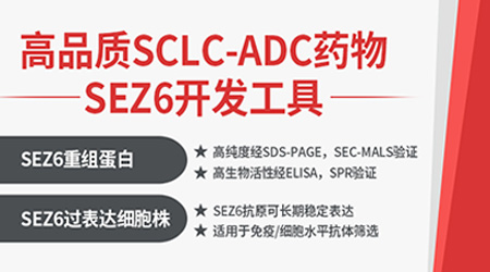 【靶点聚焦】小细胞肺癌新希望！SEZ6-ADC疗法大有可为