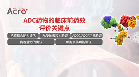 深度解析ADC药物的临床前药效评价关键点