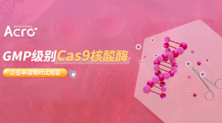 GMP级CRISPR/Cas9：改写生命密码的‘魔剪’力量